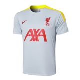 Liverpool Dark Gray  1:1 Quality Training Jersey（A-Set）24/25
