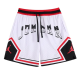 Jordon  White  1:1 Quality NBA Shorts Pants 24/25