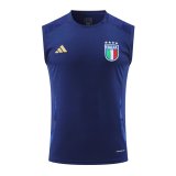 Italy Training Suit  Blue  1:1 Quality Training Vest（A-Set）24/25
