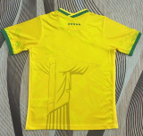 Brazil Goddess Edition Fans 1:1 Quality Soccer Jersey 2022