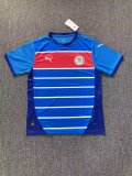 Philippines Home Fans 1:1 Quality Soccer Jersey 25/26