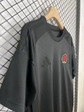 Aston Villa Special Edition Fans  1:1 Quality Soccer Jersey 24/25