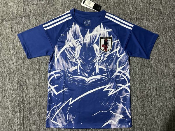 Japan Special Edition Fans 1:1 Quality Soccer Jersey 24/25