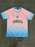 Venice Goalkeeper Fans 1:1 Quality Soccer Jersey 24/25