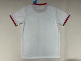Benfica Anniversary Edition Fans 1:1 Quality Soccer Jersey 25/26