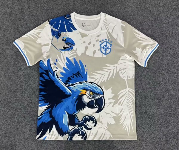 Brazil Special Edition Fans 1:1 Quality Soccer Jersey 25/26
