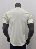 Celtic  Away  Fans 1:1 Quality Soccer Jersey 25/26