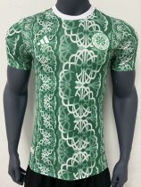 24/25 Celtic Home Training Clothes Green Player 1:1 Quality Soccer Jersey