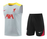 Liverpool  Dark  Gray  1:1 Quality Training Vest（A-Set）24/25