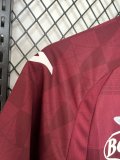 Torino FC  Home Fans 1:1  Quality  Soccer Jersey 24/25