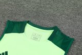 Mexico  Green And Burgundy 1:1 Quality Training Vest（A-Set）24/25