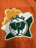 Cote d'Ivoire Special Edition Player 1:1 Quality Soccer Jersey 24/25