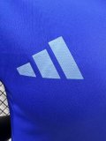 24/25 Argentina Away Player  1:1 Quality Soccer Jersey