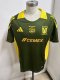 Tiger Training clothes  Fans 1:1 Quality  Soccer Jersey 24/25