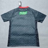 25/26 Palestino  Away Fans 1:1 Quality Soccer Jersey（巴勒斯坦人）