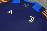 Juventus  Blue 1:1 Quality Training Jersey（A-Set）24/25