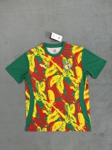 Senegal Training Clothes Fans 1:1 Quality Soccer Jersey 24/25