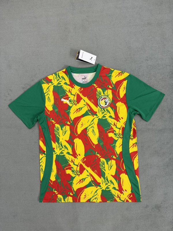 Senegal Training Clothes Fans 1:1 Quality Soccer Jersey 24/25