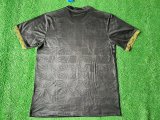 Mexico Special Edition Fans 1:1 Quality Soccer Jersey 25/26