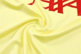 24/25  Liverpool Lake Yellow Version Player 1:1 Quality Training Jersey