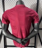Barcelona Special Edition Red PLayer 1:1 Quality Soccer Jersey 24/25