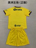 24/25  American Home Kids 1:1 Quality Soccer Jersey