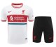 Liverpool  White And Black 1:1 Quality Training Jersey（A-Set） 24/25