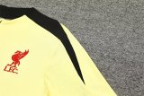 24/25  Liverpool Lake Yellow Version Player 1:1 Quality Training Jersey
