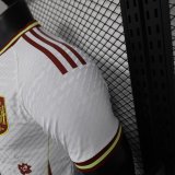 Spain Special Edition Player 1:1 Quality Soccer Jersey 24/25