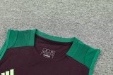 Mexico  Wine Red And Green  1:1 Quality Training Vest（A-Set）24/25