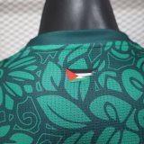 Palestine  Green Player 1:1 Quality Soccer Jersey 25/26