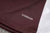 Bayern Munich Training  1:1 Quality Training Jersey 24/25
