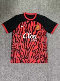 Mallorca  Home Fans 1:1 Quality Soccer Jersey 24/25