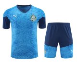 Palmeiras Sky Blue 1:1 Quality Training Jersey（A-Set）24/25