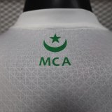 Palestine Special Edition Player 1:1 Quality Soccer Jersey 25/26
