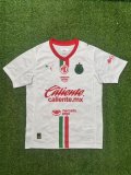 Chivas Away Fans 1:1 Quality Soccer Jersey 25/26
