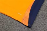 Juventus Training  Orange Yellow Color 1:1 Quality Training Jersey 24/25