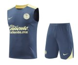 24/25 Club America Grey 1:1  Quality Training Vest（A-Set）