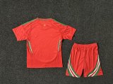 Wales Home Kids Kits 1:1 Soccer Jersey 24/25