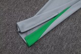Nigeria Grey 1:1 Quality Training Jersey 25/26