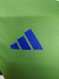 Algeria Pink Green Player 1:1 Quality Soccer Jersey 24/25