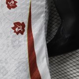 Spain Special Edition Player 1:1 Quality Soccer Jersey 24/25