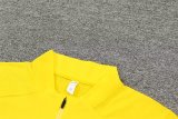 Dortmund Training Yellow  1:1 Quality Training Jersey 24/25