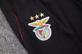 Benfica Training Black 1:1 Quality Training Jersey 25/26