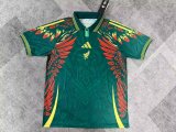 Mexico Special Edition Fans 1:1 Quality Soccer Jersey 25/26