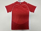 Hapoel Be'er Sheva  Home  Fans 1:1 Quality Soccer Jersey 24/25