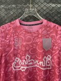24/25  Palestine Training Clothing  Pink  1:1 Quality Soccer Jersey