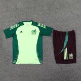 Mexico Green  And Burgundy  1:1 Quality Training Jersey（A-Set）24/25