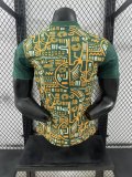 Cote d'Ivoire Special Edition Player 1:1 Quality Soccer Jersey 24/25