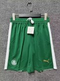 Palmeiras Away Fans Shorts 24/25